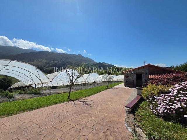 Casa en venta en Colunga. FINCA ECOLÓGICA CON VIVIENDA EN VENTA EN GOBIENDES COLUNGA NATURALEZA, PRODUCCIÓN Y VIVIENDA. Casas.
