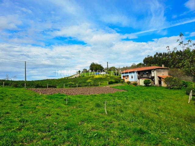 Casa en venta en Colunga. SE VENDE CONJUNTO FORMADO POR UNA VIVIENDA, UNA CASA PARA REFORMAR Y UNA PARCELA, EN LA ZONA DE MONTE LA RIERA, COLUNGA. Casas.