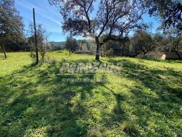 Casa en venta en Córdoba, Cerro Muriano. MURIANO No hipotecable OPCION COMPRA Parcela de 14.000m con nave diáfana de múltiples usos. Casas.