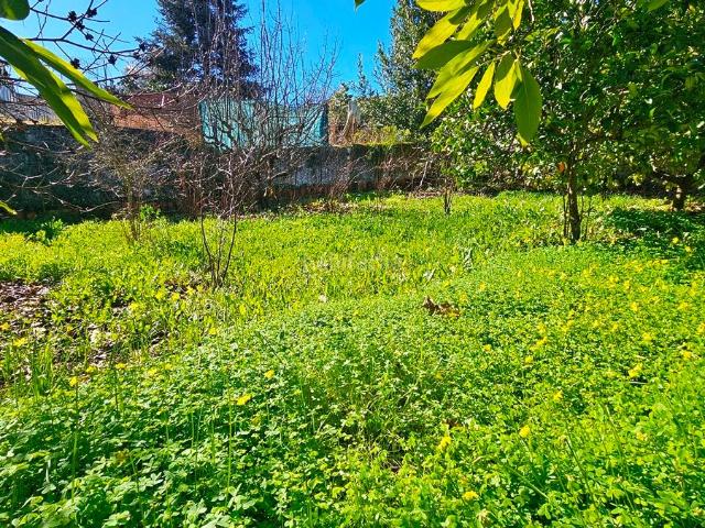 Casa en venta en Cortegana. Casa en el centro de Cortegana con precioso corral y frutales. Casas.