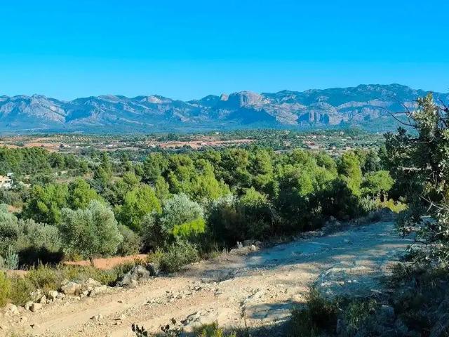 Casa en venta en Cretas Teruel