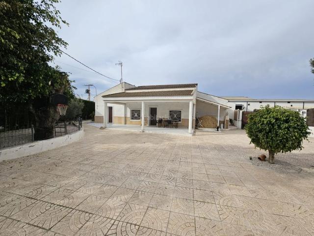 Casa en venta en Dolores. Amplia casa de campo con piscina, parcela y almacén. Casas.