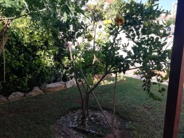 Casa en Venta en El Ejido