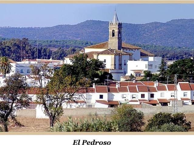 Casa en venta en El Pedroso, Sevilla