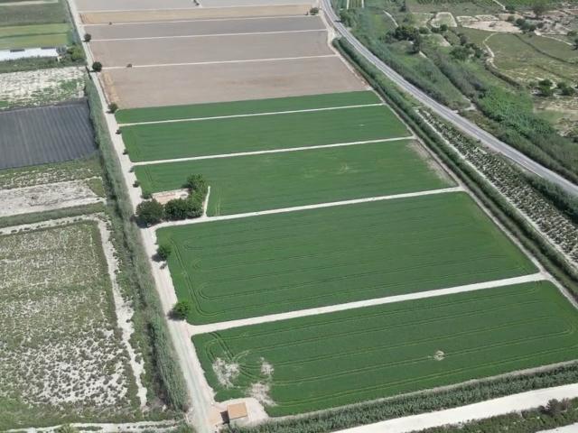 Casa en venta en Elche Alicante