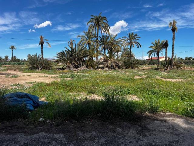 Casa en Venta en Elche Elx