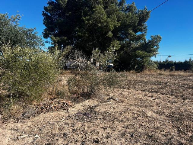 Casa en venta en Elche Elx, Perleta Maitino. OPORTUNIDAD TERRENO CON CASA PARA REFORMAR. Casas Elche.
