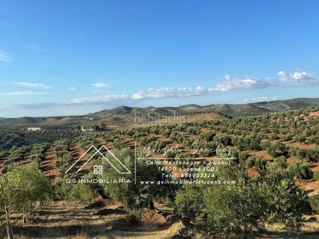 Casa en venta en Encinas Reales. Casas Encinas.