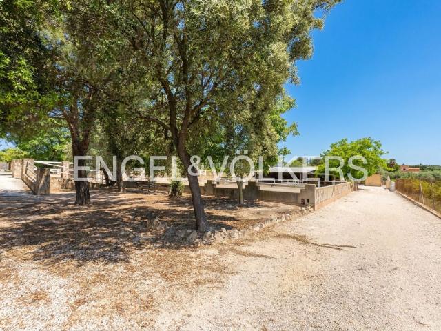 Casa en venta en Enguera. Finca ecuestre exclusiva en un enclave natural privilegiado. Casas.