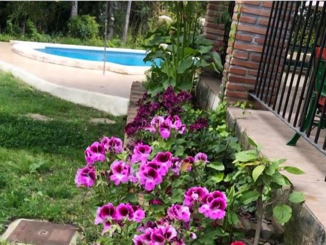 Casa en venta en Estepona, El Velerín. ¡Tu refugio de paz! Espectacular casa de campo con piscina y gran parcela. Casas.