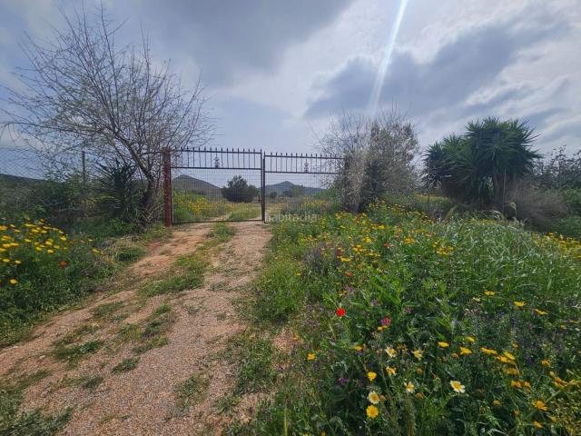 Casa en venta en Fuente Álamo de Murcia, La Pinilla Las Palas. CASA CON TERRENO EN EL MINGRANO!. Casas Fuente Álamo de.