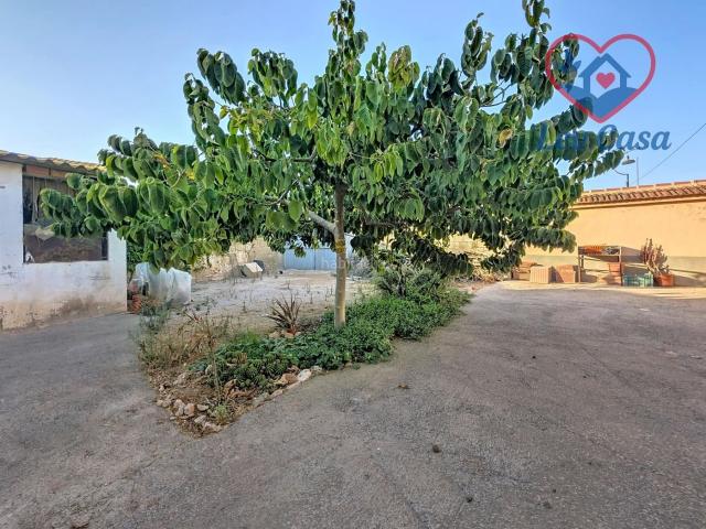 Casa en venta en Fuente Álamo de Murcia, La Pinilla Las Palas. CASA DE CAMPO CON 4 DORMITORIOS, PATIO PRIVADO Y TERRENO CON 60 OLIVOS. Casas Fuente Álamo de.