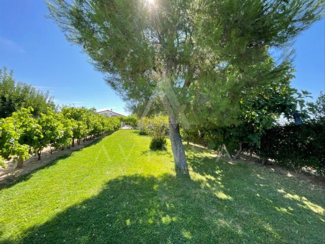 Casa en venta en Fuente el Saz de Jarama. Casa o chalet independiente en venta en Camino Viejo del Casar, Fuente el Saz de Jarama. Casas Fuente el Saz de.