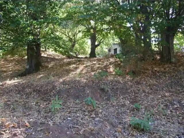 Casa en Venta en Faraján