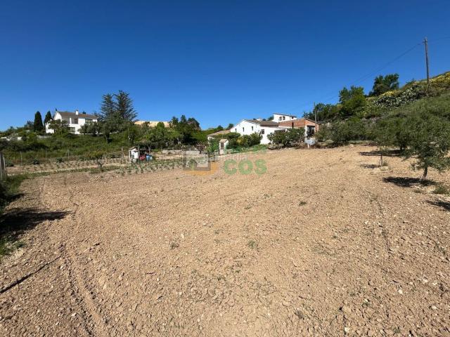 Casa en venta en Font rubí. CASA de CAMPO en venta con 3.900 m2 de terreno llano con jardín, olivos, huerto, etc. en un lugar privilegiado cerca de todo. Casas.