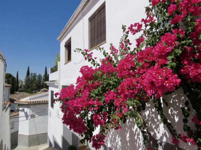 Casa en venta en Granada Granada