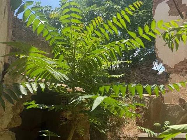 Casa en Venta en Granátula de Calatrava