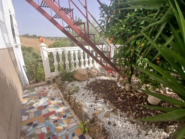Casa en venta en Jaén, Alcantarilla La Glorieta. Se vende finca de recreo con 3 viviendas independientes y piscina. Casas.