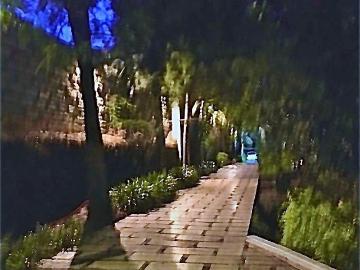 Casa en venta en jardines del pedregal