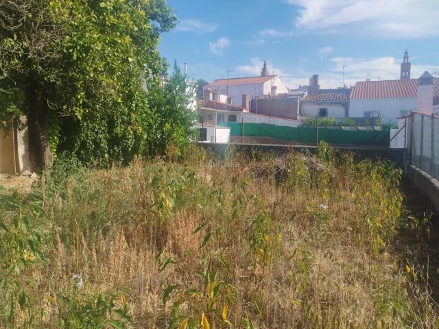 Casa en venta en Jerez de los Caballeros. Zona Sta.Catalina. A reformar. Mucho terreno. Casas Jerez de los.