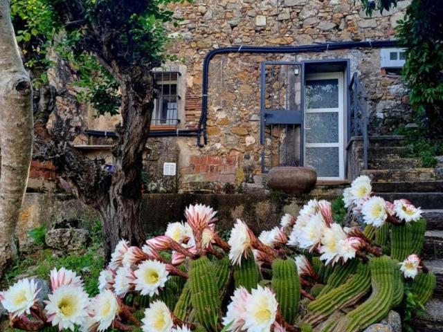 Casa en venta en L'Ametlla del Vallès, L'Ametlla del Valles