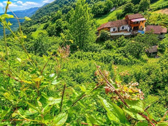 Casa en Venta en Lena