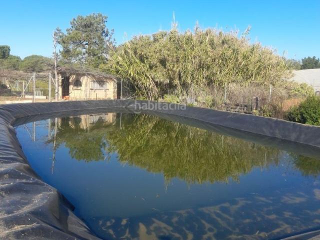 Casa en venta en Lepe. Casa de campo muy cercana a la ciudad de LEPE. Casas.