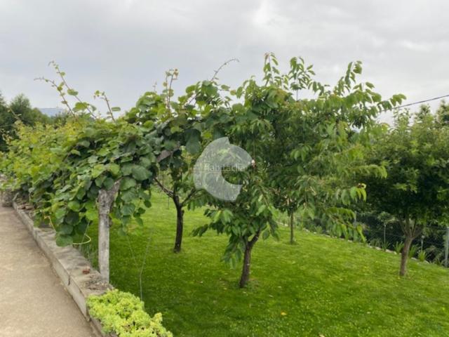 Casa en venta en Lobios. VIVIENDA UNIFAMILIAR COMPLETAMENTE REFORMADA Y LISTA PARA ENTRAR A VIVIR. VIVIENDA PRINCIPAL DISTRIBUIDA EN COCINA INDEPENDIENTE T. Casas.