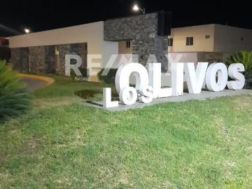 CASA EN VENTA EN LOS OLIVOS