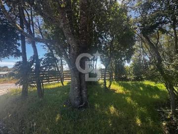 Casa en Venta en Puerto Montt 2 dormitorios 1 baño