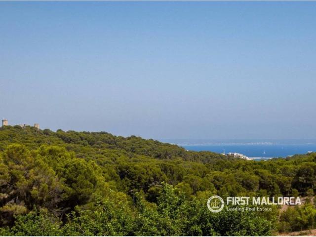 Casa en Venta en Palma de Mallorca