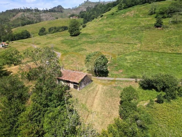 Casa en venta en Parres. Encanto, historia y naturaleza en el corazón de Asturias. Casas.