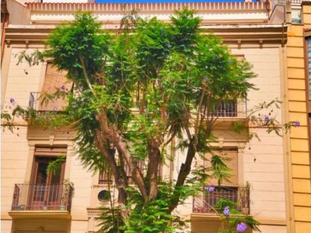 Casa en Venta en Petrer