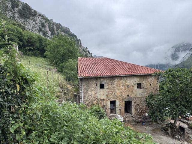 Casa en venta en Peñamellera Alta. CASONA EN PEÑAMELLERA ALTA. Casas Peñamellera.