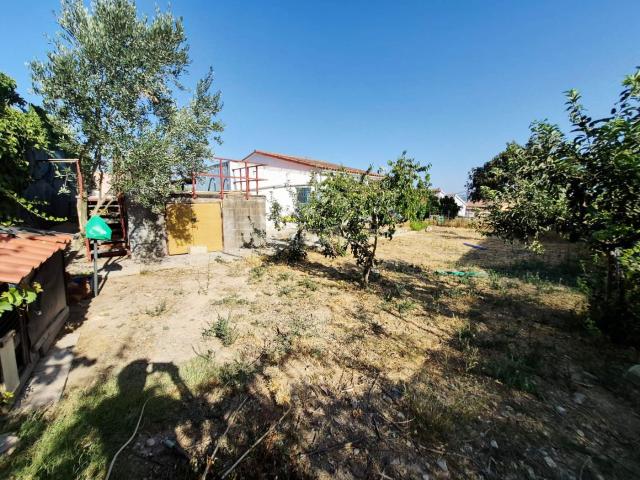 Casa en venta en Piera. Casas.