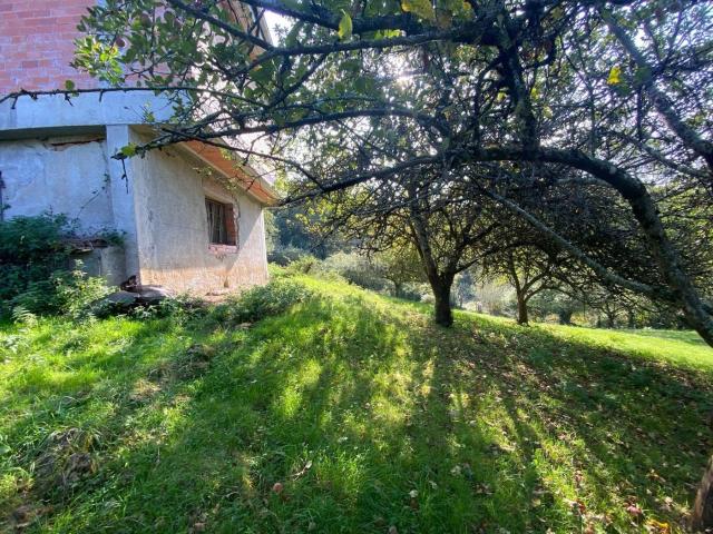 Casa en venta en Piloña. Finca con gran potencial a solo 5 minutos de Infiesto. Casas.