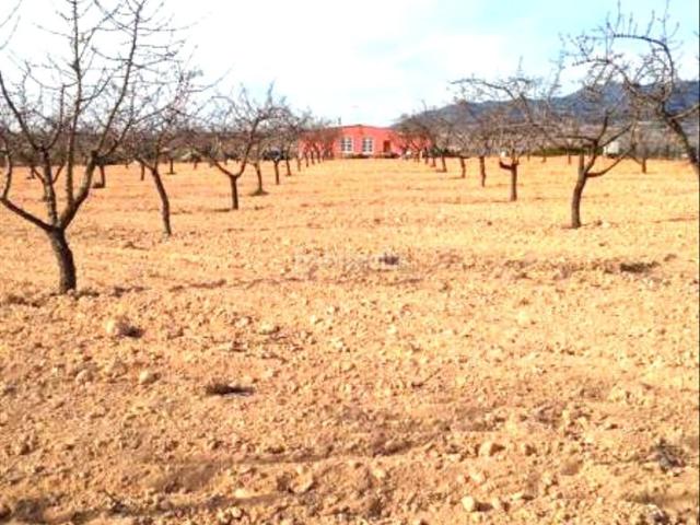 Casa en venta en Pinoso. Hermosa casa de campo ubicada en el Paredón, cerca de Pinoso. La casa tiene 3 dormitorios, 3 baños, un amplio salón con chimenea y. Casas.