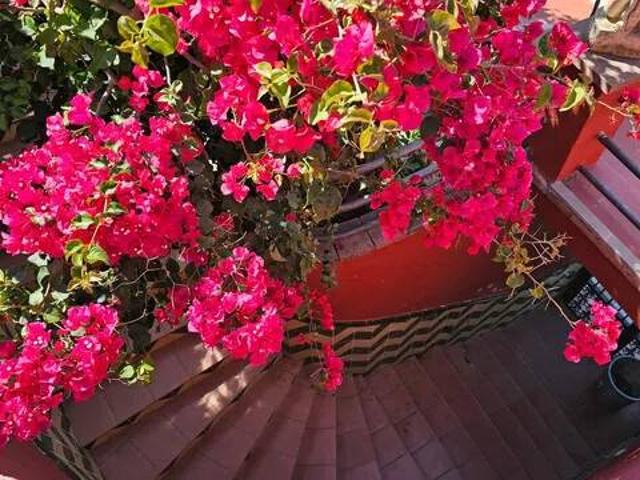 Casa en Venta en Pineda de Mar