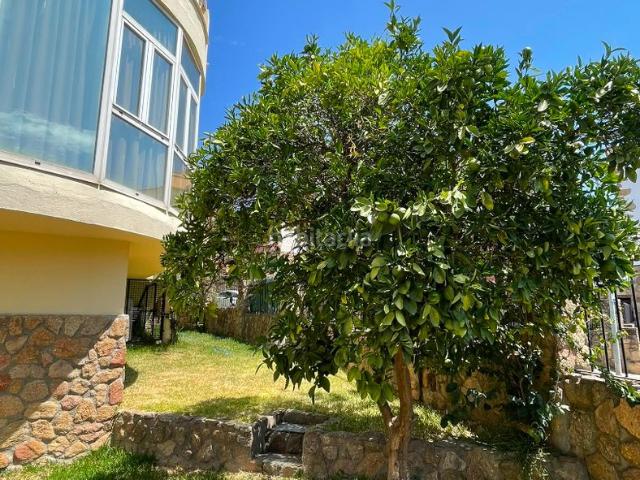 Casa en venta en Plasencia, Los Pinos El Pilar. AMPLIA CASA EN ZONA CENTRO. Casas.