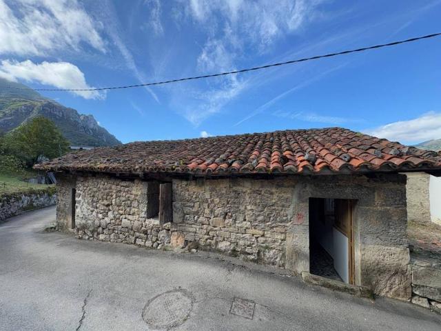 Casa en Venta en Proaza