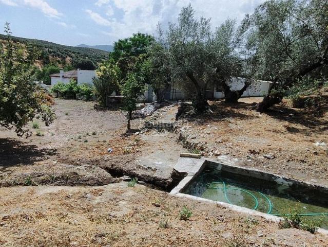 Casa en venta en Rute. RuteCasa. Casas.