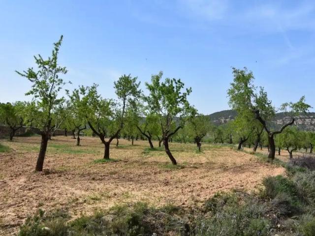 Casa en venta en Ráfales Teruel