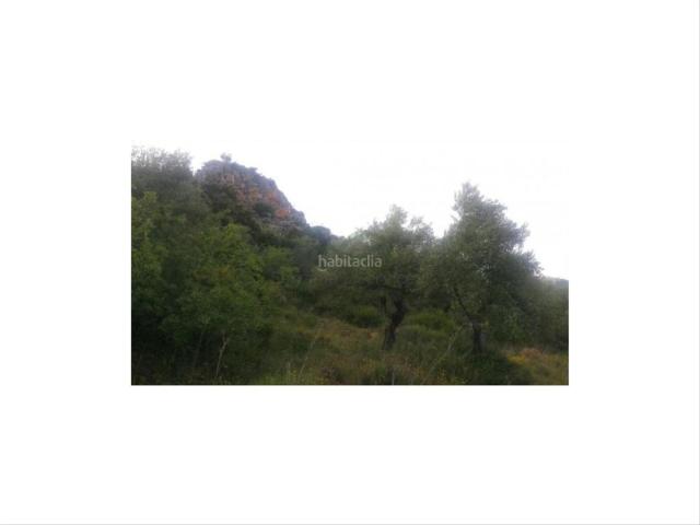 Casa en venta en Ronda, Casco Histórico. Finca con Casa, Naves y Olivos. Magníficas Vistas. Casas.