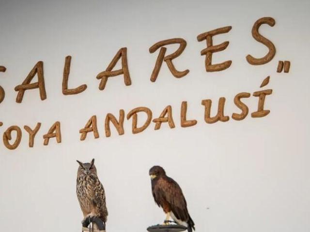 Casa en venta en Salares Málaga