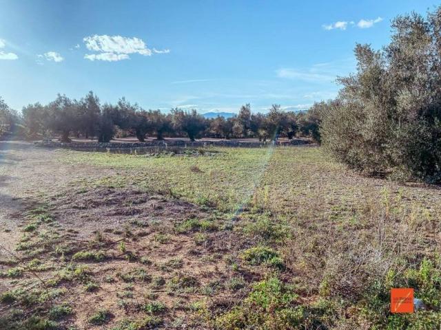 Casa en Venta en Santa Bàrbara