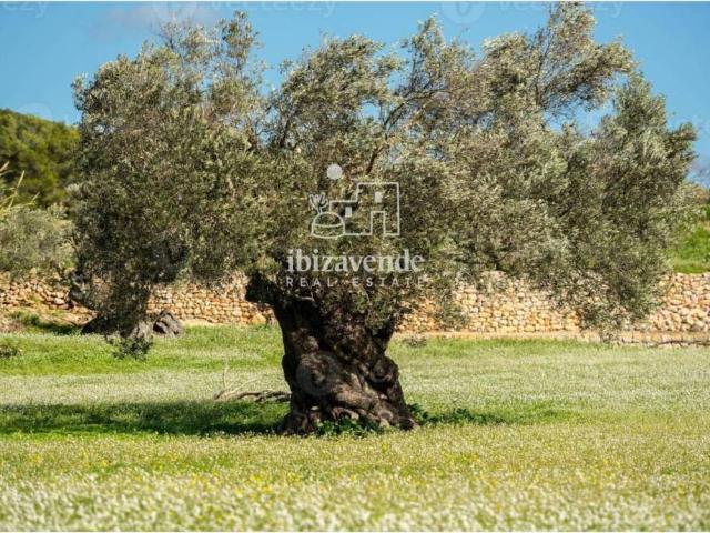 Casa en Venta en Santa Eulària des Riu