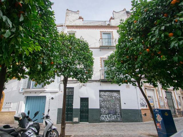 Casa en venta en Sevilla, Arenal Museo. Magnífica casa en el Arenal junto al Postigo. Casas.
