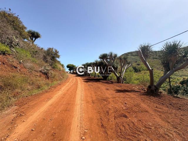 Casa en venta en Tegueste. Exclusiva finca en El Socorro Tegueste. Casas.