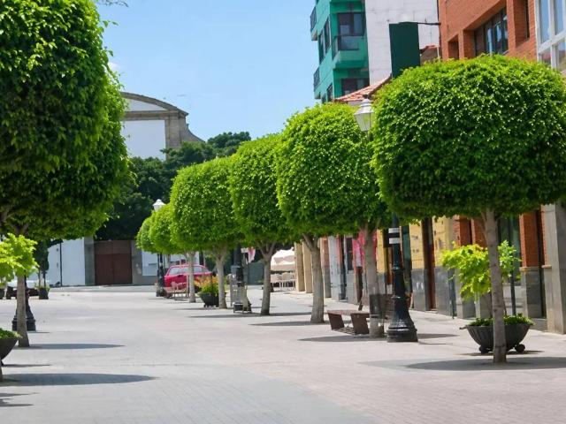 Casa en Venta en Telde
