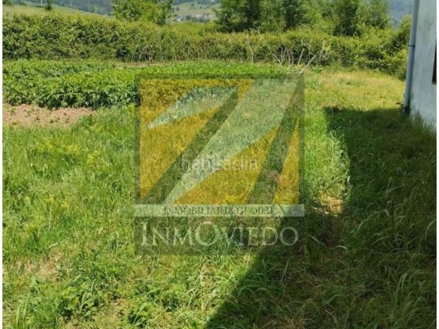 Casa en venta en Tineo. SE VENDE MAGNIFICA CASA CON TERRENO EN LA ZONA DE TINEO. Casas.